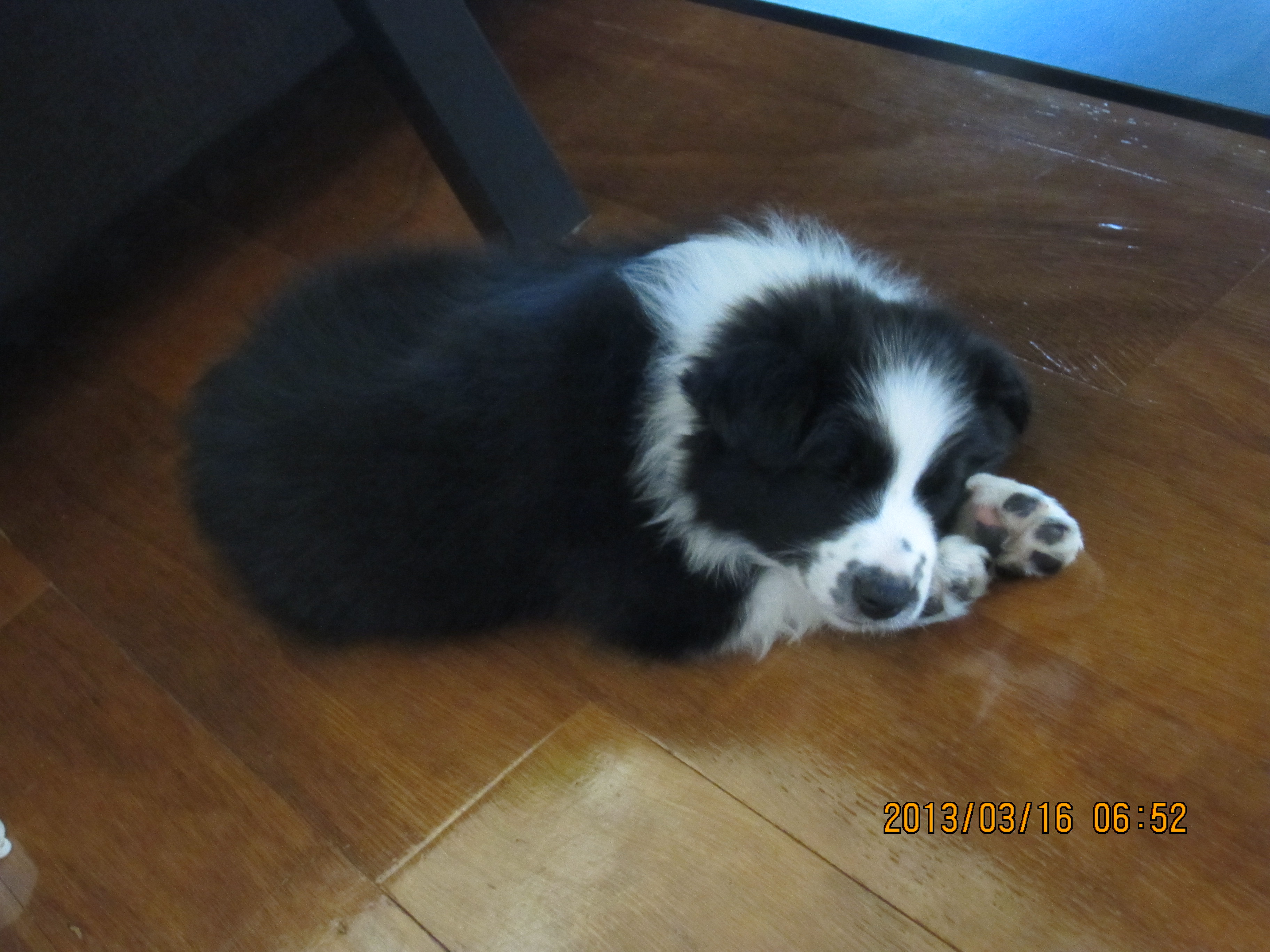 �ú�˯�����ܳ�����Ŷ~~