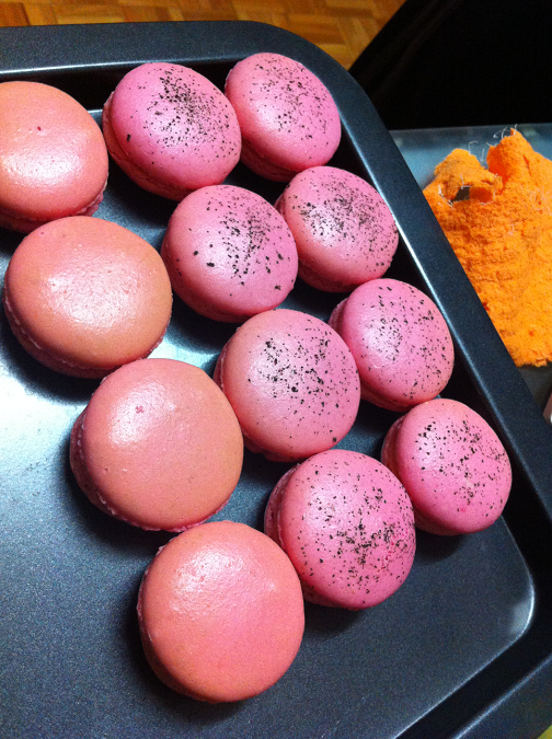 ���ϸ���