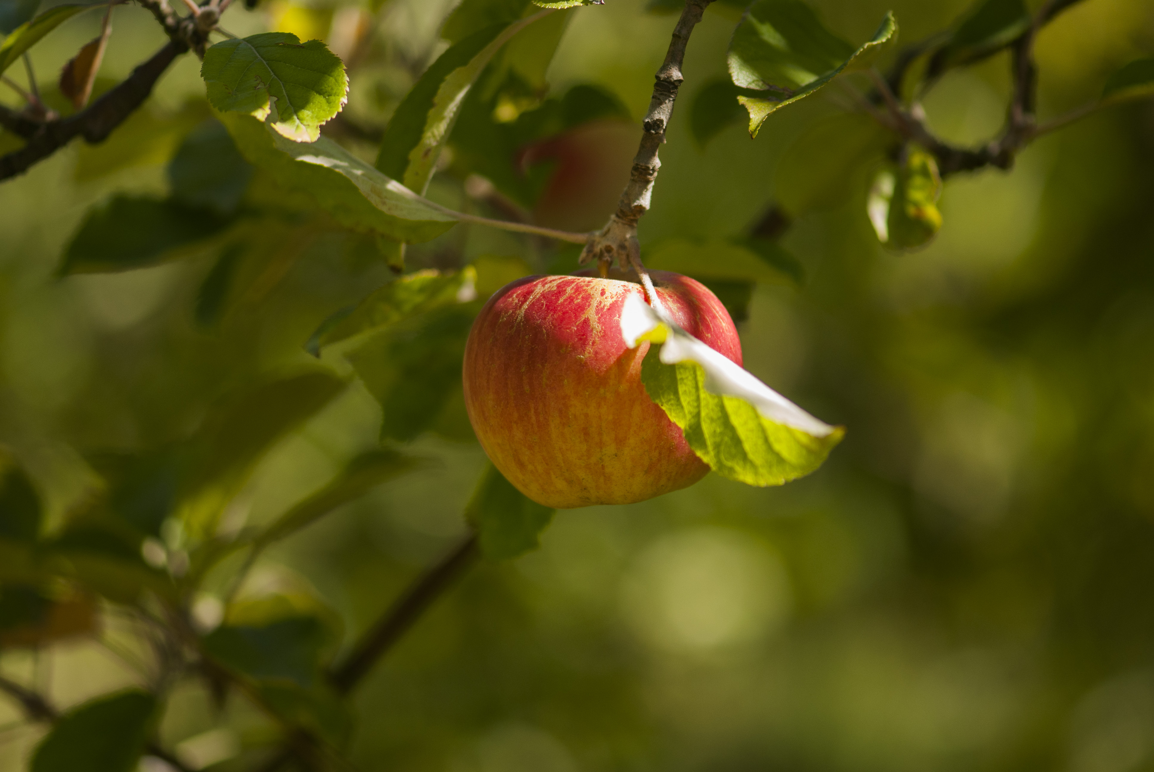 ժƻ����ʱ��