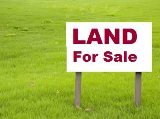 landSale1.jpg