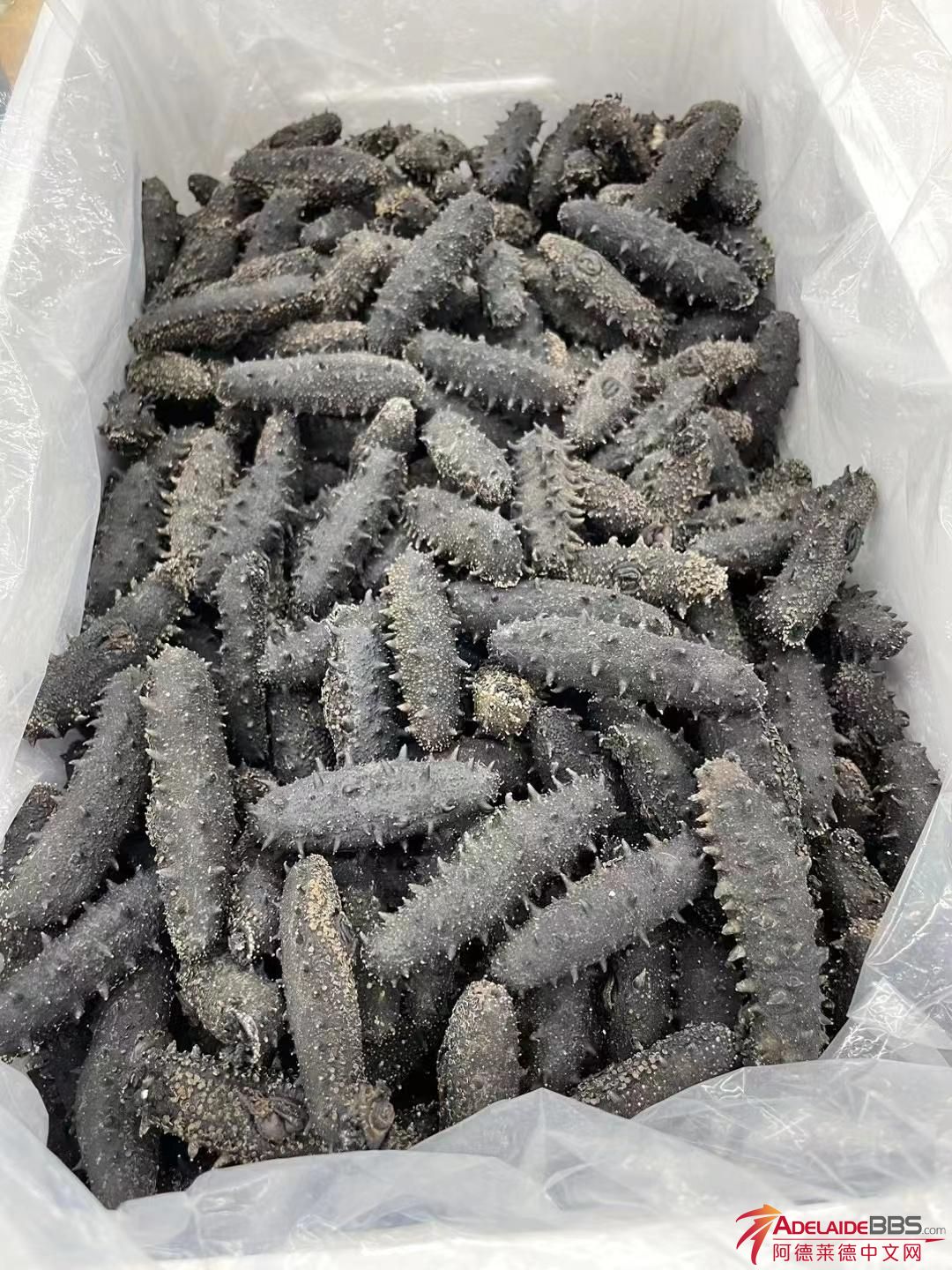 MicrosoftTeams-image (4).png