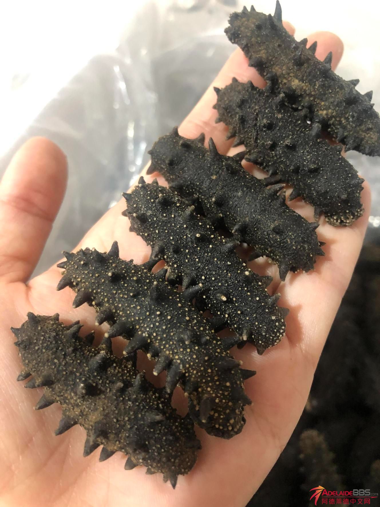 MicrosoftTeams-image (2).png