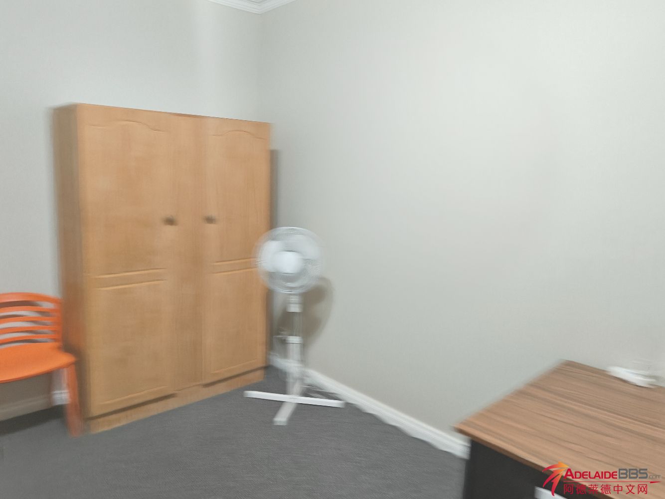 1000047935.jpg