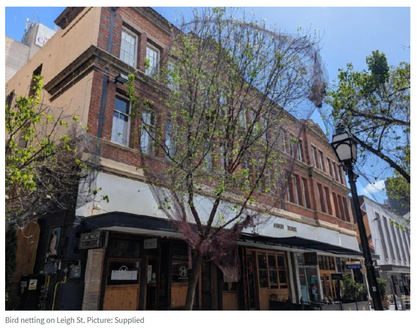 ���¶�����̬���⣬�����ľ�������Rundle Mall������Ϣ����-3.jpg