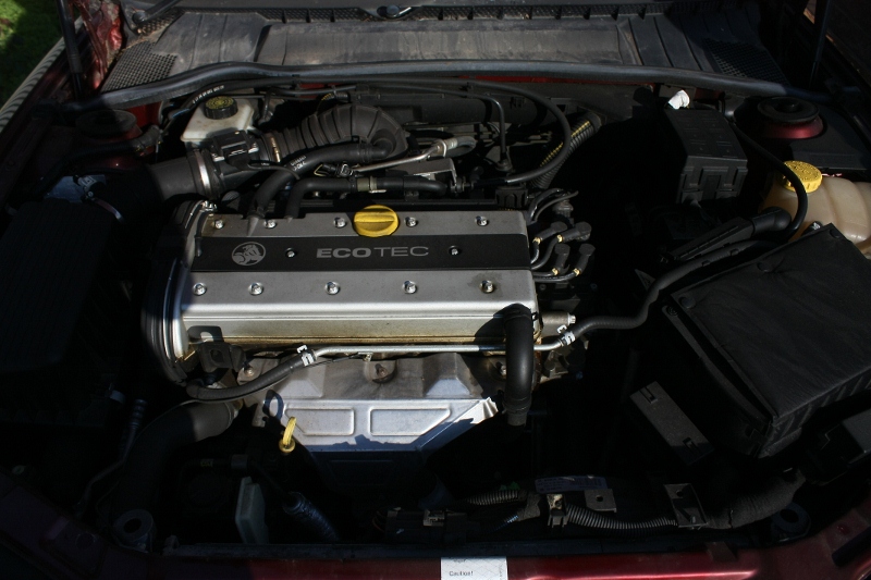 IMG_4713 (800x533).jpg