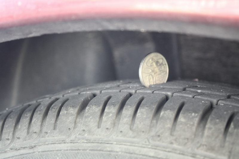 IMG_4722 (800x533).jpg