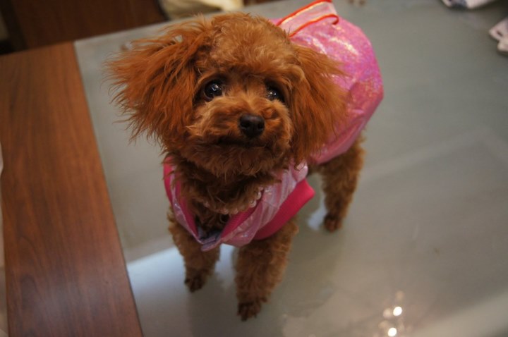 �������Ҵ���Сȹ��Ҳ��С��Ůһ��~~