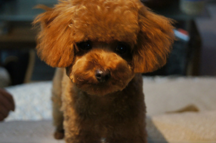 ���Ƕ��������棬�治���ˣ�����