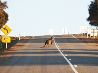 ɢ���Ĵ���