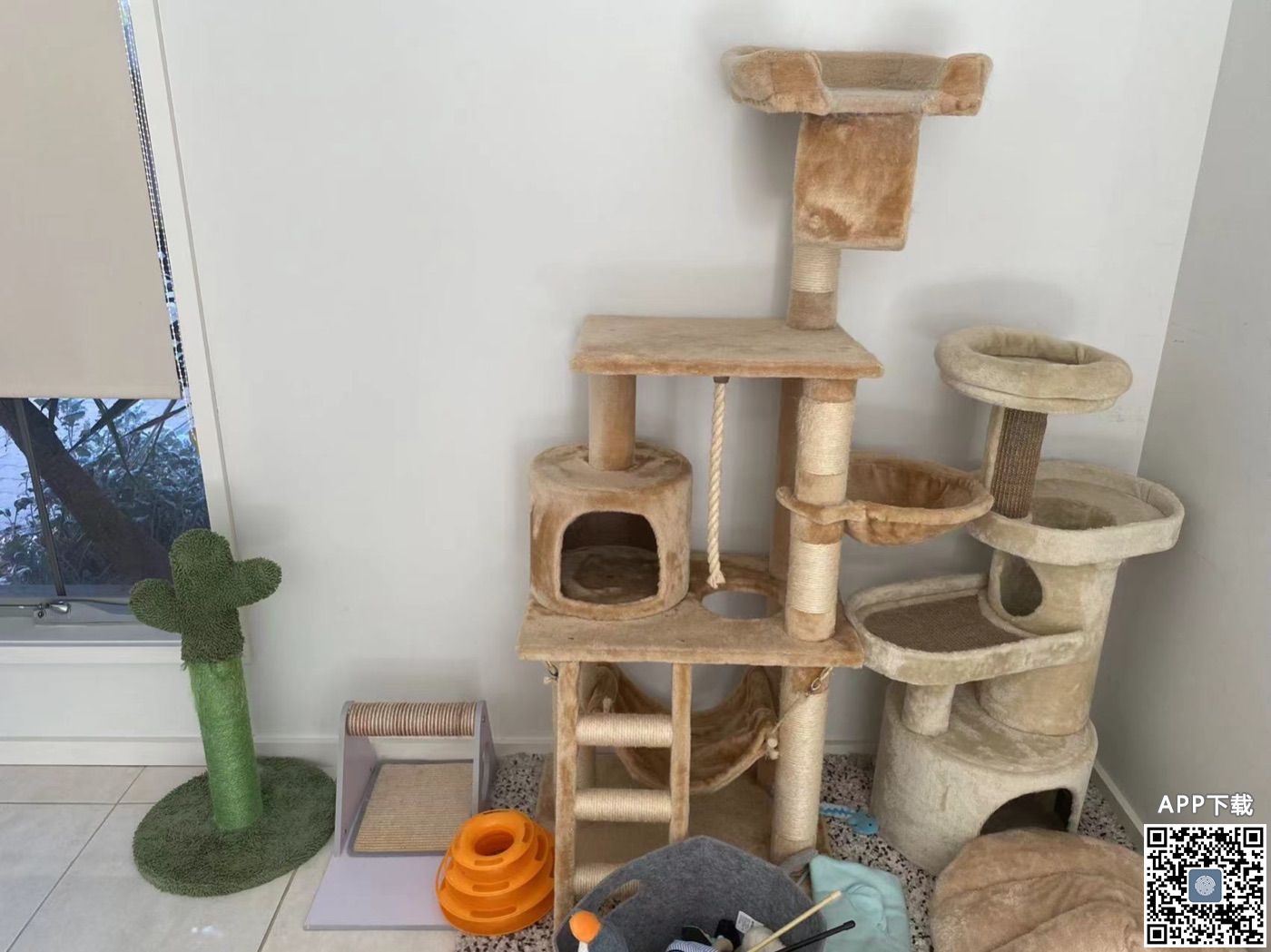 cat tower.jpeg