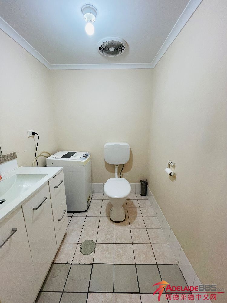 IMG_2072.jpeg