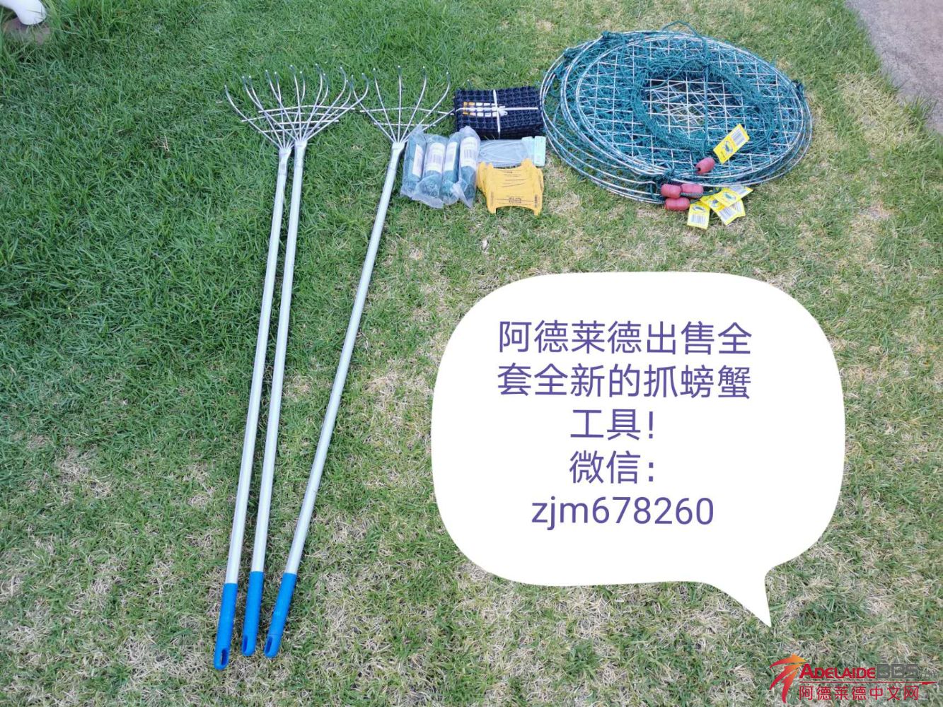 mmexport1737935923175.jpg