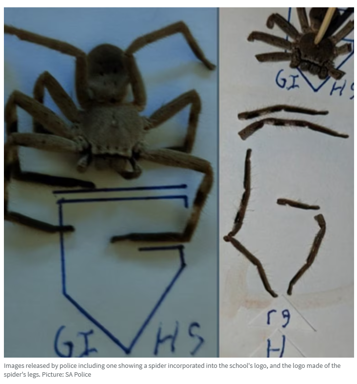 �ϰķ��־��������½׶���飬����Glenunga International High School��в���ʼ�...-2.jpg