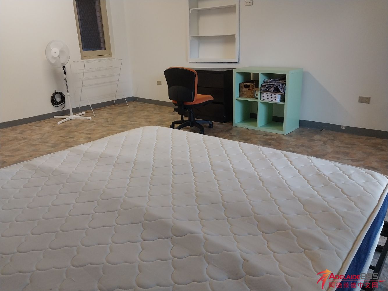 1000009506.jpg