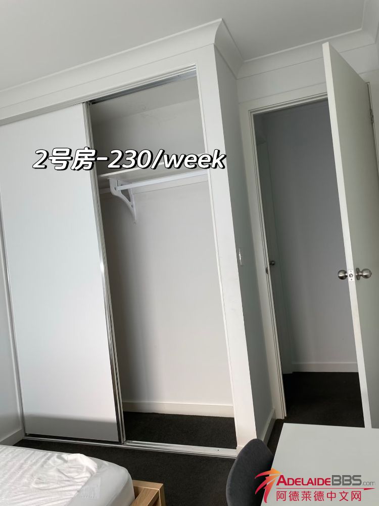IMG_2606.jpeg