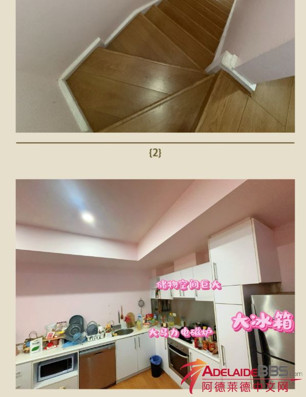 Picture3.png