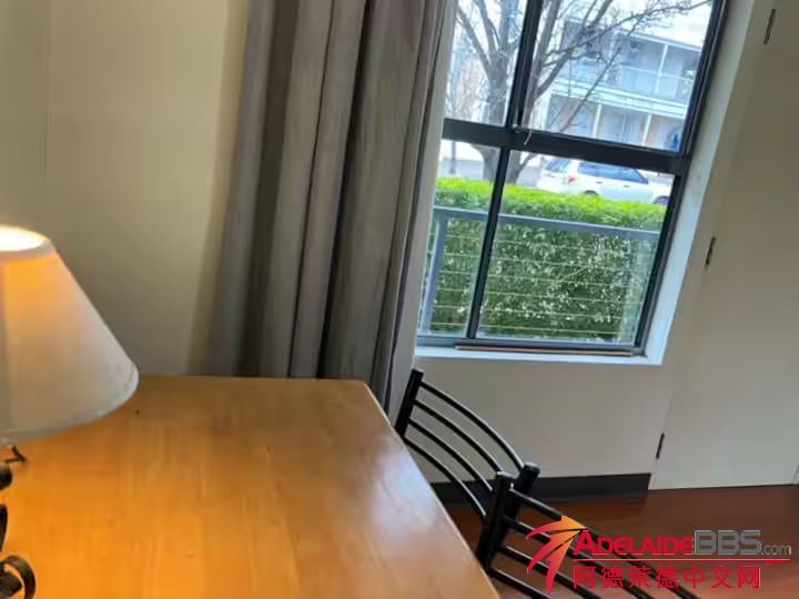 Magill���ҹ�Ԣ����-6.jpg