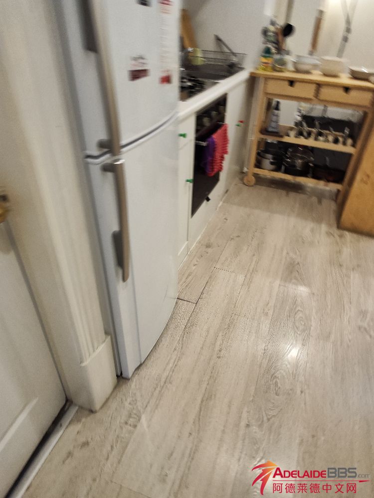 1000019804.jpg