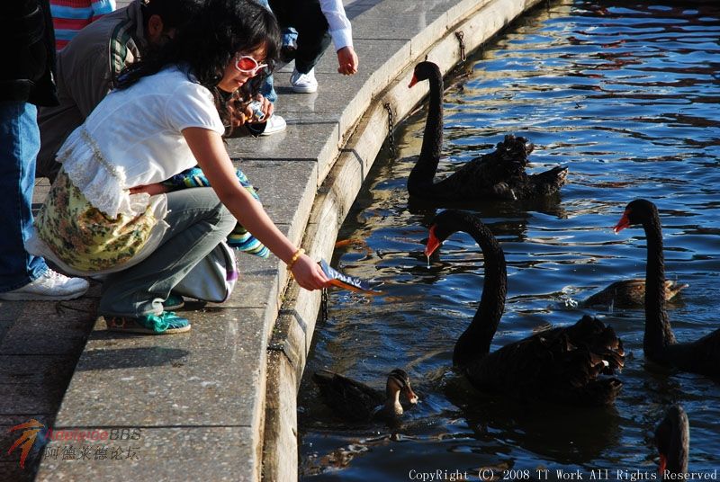 ������֯��ǿ��