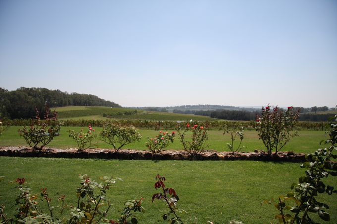 ���ţ����羰��