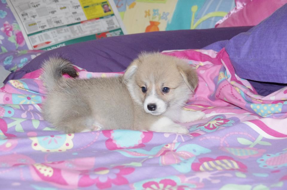 6�ܿ�~С������~