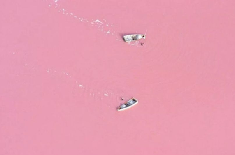 pink lake-2.png